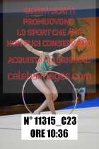 11315_C23