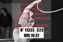 11333_C23