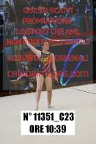 11351_C23