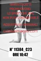 11384_C23