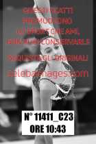 11411_C23
