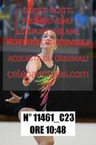 11461_C23