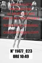 11477_C23