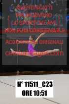 11511_C23