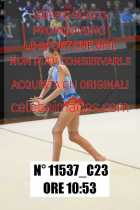 11537_C23