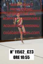 11562_C23