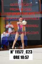 11577_C23