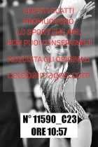 11590_C23