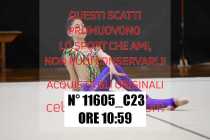 11605_C23