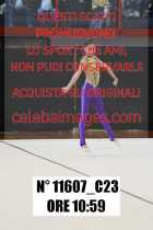 11607_C23