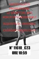 11610_C23