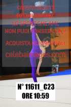 11611_C23