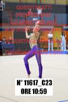 11617_C23