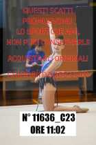 11636_C23