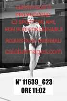 11639_C23