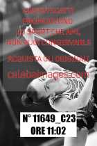 11649_C23