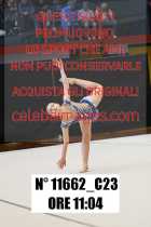 11662_C23
