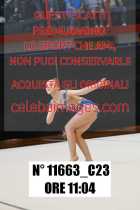 11663_C23