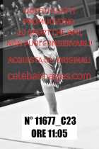 11677_C23