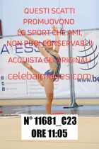 11681_C23