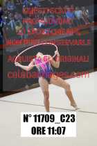 11709_C23