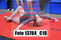 13784_C18