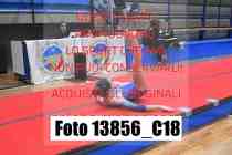 13856_C18