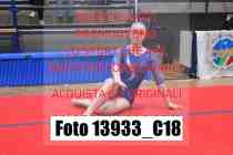 13933_C18