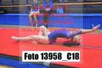 13958_C18