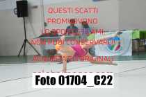 01704_C22
