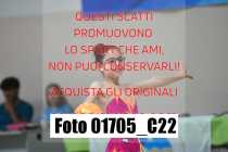 01705_C22