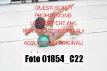 01854_C22