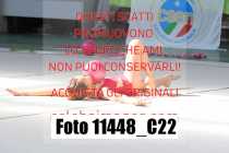 11448_C22