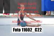 11602_C22