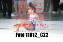 11612_C22