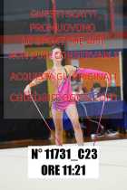 11731_C23