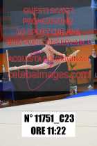 11751_C23
