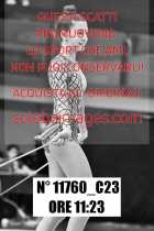 11760_C23