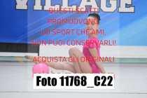 11768_C22
