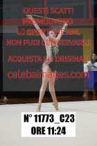 11773_C23