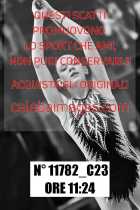 11782_C23