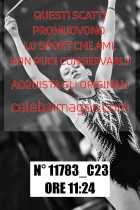 11783_C23
