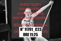 11791_C23