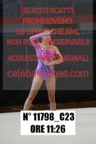 11798_C23