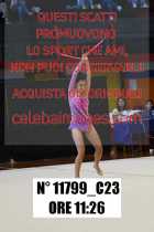 11799_C23