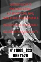 11803_C23