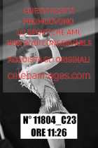 11804_C23