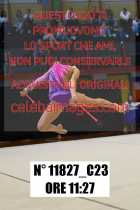 11827_C23