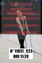 11831_C23