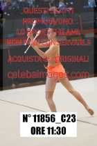 11856_C23